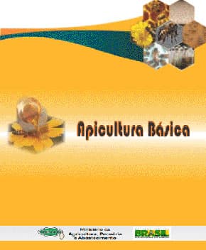 Capa de Apicultura Básica