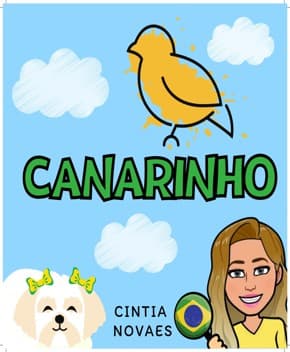 Capa de Canarinho