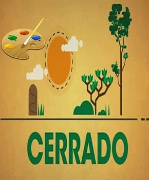 Capa de Colorindo o Aprender