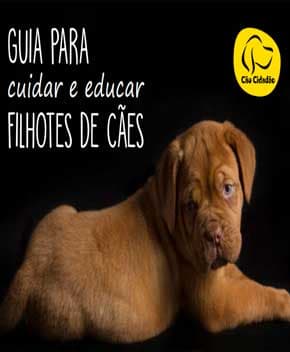 Capa de Cuidar e Educar