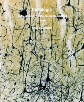 Capa de Histologia