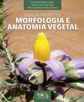 Capa de Morfologia e Anatomia