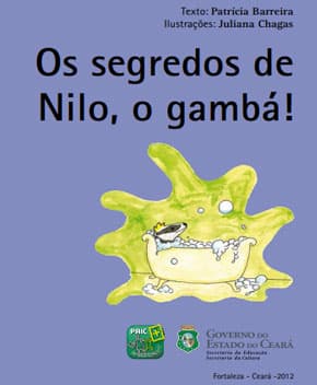 Capa de Os Segredos de Nilo,