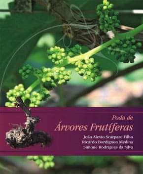 Capa de Poda de Árvores