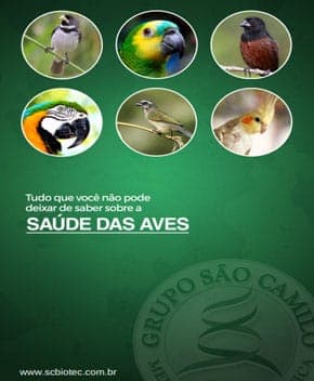 Capa de Saúde das Aves