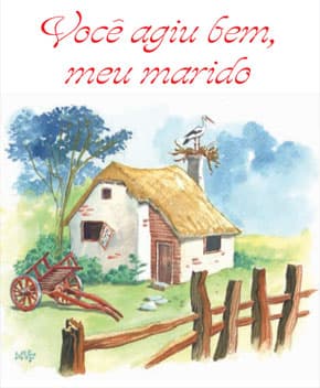Capa de Você Agiu Bem