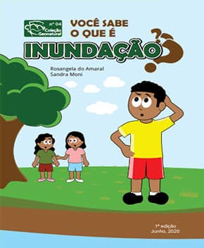 Capa de O que é Inundação?