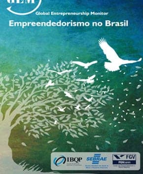 Capa de Empreendedorismo no Brasil